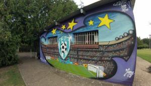 Fresque sport 
